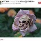 5c8b302e2300005400e7ca6f