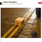 5c8b302f22000051001a8042