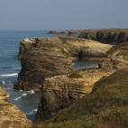 5c8b3135360000e01c6cb0a9