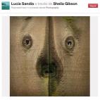 5c8b30302500000704ca4306