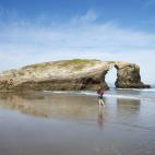 5c8b3135230000dd04245677