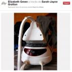 5c8b30312400000a05a44e88