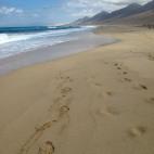 5c8b31382500000d04ca45d5