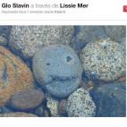 5c8b30332300002f00e7ca89