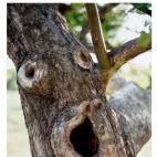 5c8b303422000031001a8052