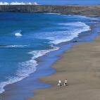 5c8b313d360000e01c6cb0d5