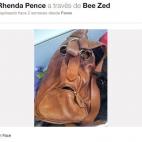 5c8b303f22000033001a8066