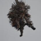 5c8b0fd6230000dd04240511