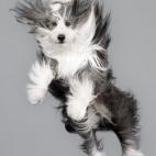 5c8b0fd7240000f7054cc446