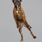 5c8b0fd7250000e203c9f500