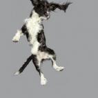 5c8b0fd7360000ba1a6c60ec