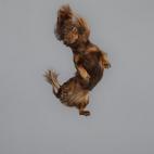 5c8b0fd822000051001a3171