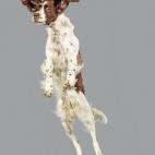 5c8b0fd83b000072066ce26b