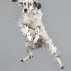 5c8b0fd82500000704c9f502