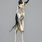 5c8b0fd92300000401240513