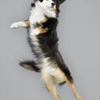 5c8b0fd9240000f404a4005d