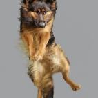 5c8b0fda2000004504700eee