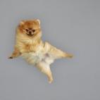 5c8b0fda2300003000e77cb3