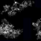 5c8b28ae360000c81a6c9df6