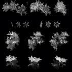 5c8b28ae2300000401244379