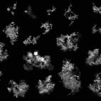 5c8b28af2300005400e7b98d