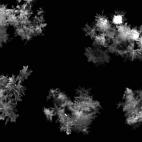 5c8b28af360000a61b6c9df9