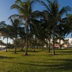 5c8ae4ed230000040123e2ac