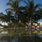 5c8ae4ed230000d50423e2ae