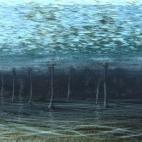 5c8ae4ee2300003000e759c1