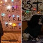 5c8a98c92500000d04c93dfe