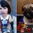 5c8a98ca3b000054066c2c77