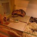 5c8b7778360000e01c6d2819