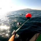 5c8b44f92400004205a471ae