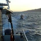 5c8b44f93b000054066d517c