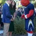 5c8b29342000004504704c99