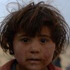 5c8abbbf2300007f01239a5c