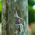 5c8b33d3230000d504245c15