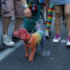 5c8ab4d0360000e01c6bea1a