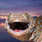 5c8ad1202500000d04c9b3b7