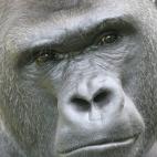 5c8ad1212500001304c9b3bc