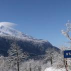 5c8ad4dd2300005400e741bb