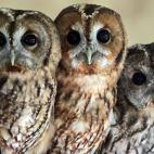 5c8ad1213b000002076ca0a1