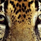 5c8ad1213b000072066ca0a3