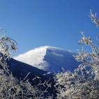 5c8ad4de230000d50423ca77