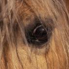 5c8ad1222500000d04c9b3bf