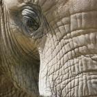 5c8ad122250000580681cdf0