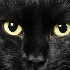 5c8ad1232400004205a3be22