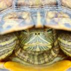 5c8ad12320000043046fce08