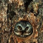 5c8ad123240000f404a3be26