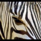 5c8ad124230000040123c34f